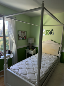 Photo of free Canopy Trundle Bed - Twin (Ann Arbor, near Arborland Mall) #1