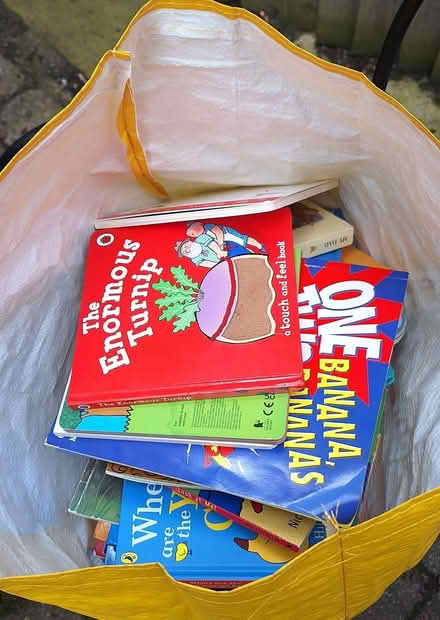Photo of free Children's books (Maidstone, ME15) #1