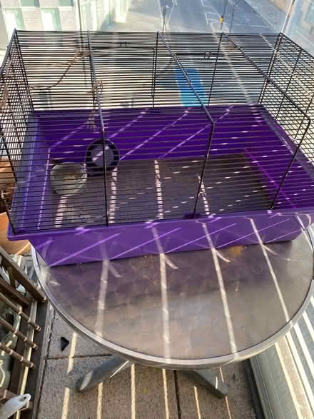 Photo of free Small cage for Hampster or mouse (London Kings Cross N1C) #1