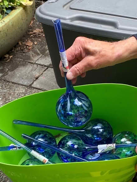 Photo of free Plant watering globes (Canyon Village in Fairfax) #1