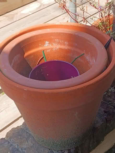 Photo of free Plant pots (Archway N19) #3