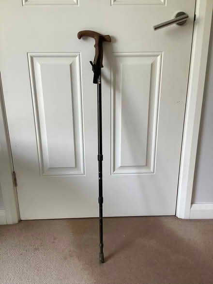 Photo of free Walking stick/pole (Wirksworth DE4) #1