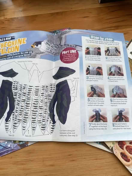 Photo of free Wild explorer magazines (Loughton MK5) #3