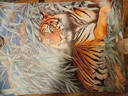 Photo of free Set of animal posters (Kings Heath B14) #1