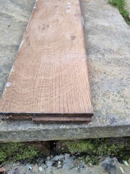Photo of free Solid Wood Flooring (Eastbourne BN23) #4