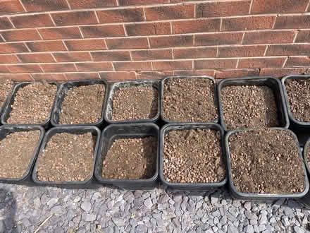 Photo of free Compost (DE23 Derby) #1