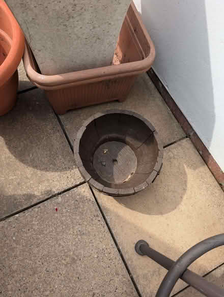 Photo of free 10 plant pots (Barton-in-Fabis CP NG11) #4