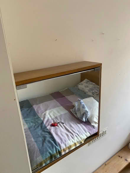 Photo of free Mirror wood cabinet (Iffley OX4) #2