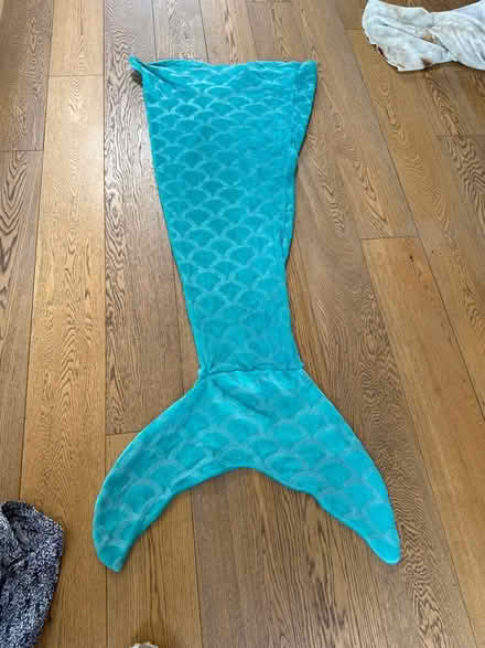 Photo of free Mermaid tail blanket (Loughton MK5) #1