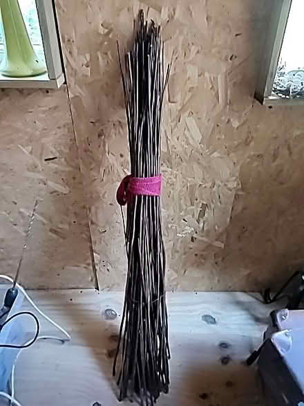 Photo of free Bunch dried willow sticks (Porchester Gardens NG3) #1