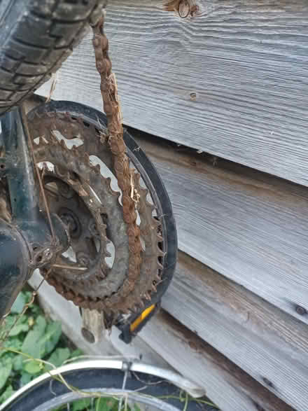 Photo of free Old bicycle (Whitstable CT5) #1