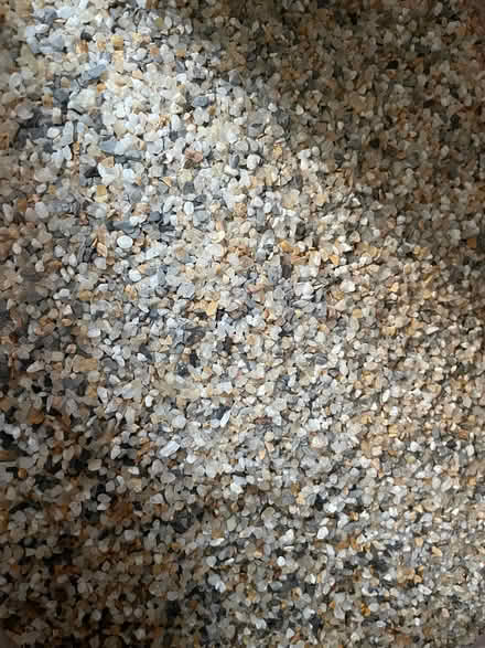 Photo of free Aquarium gravel (Mealsgate CA7) #1