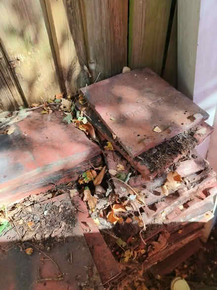 Photo of free Roof Tiles (Widmore BR1) #3