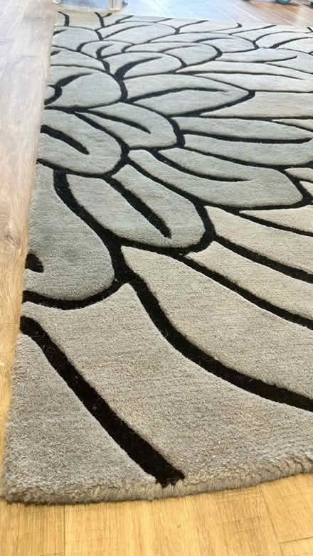 Photo of free Rug, diaper bin and baby bath (B25 8QS) #2