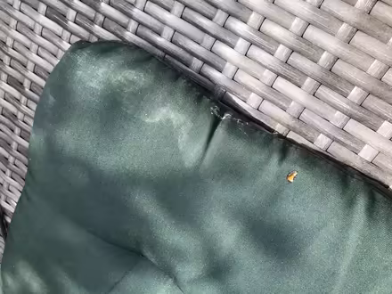 Photo of free Garden seat cushions (Wallsend NE28) #2
