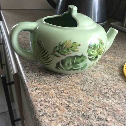 Photo of free Open nest teapot (Coup Green PR5) #3