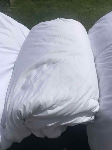 Photo of free 2 superking + 1 double duvet (Norton Fitzwarren TA2) #3