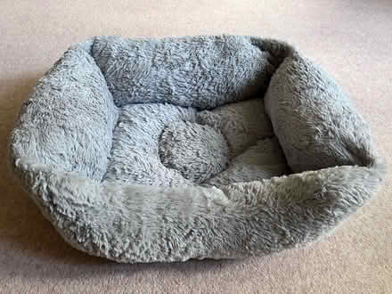 Photo of free Dog Basket (Basingstoke RG22) #1