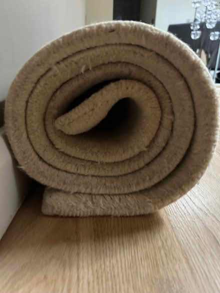 Photo of free Wool cream carpet with small stain (Dog Kennel SE5) #3
