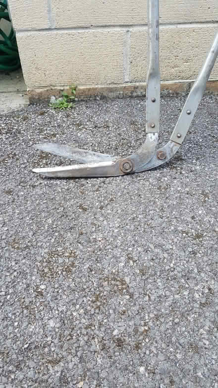 Photo of free Wilkinson Sword 36" edging shears (BA15 Centre Bradford on Avon) #1