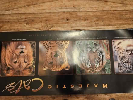 Photo of free Set of animal posters (Kings Heath B14) #4