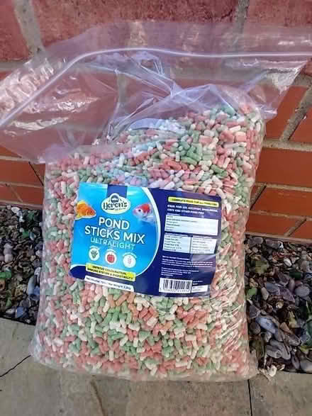 Photo of free Pond fish food (Kempston MK42) #1
