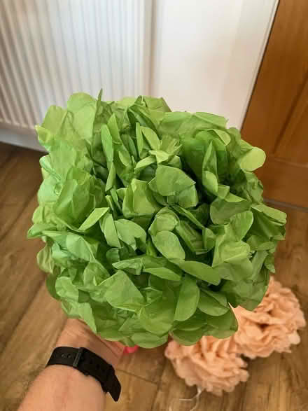 Photo of free Tissue paper decorations (NE2 Jesmond) #2