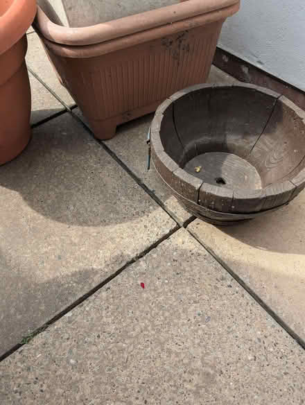 Photo of free 10 plant pots (Barton-in-Fabis CP NG11) #1