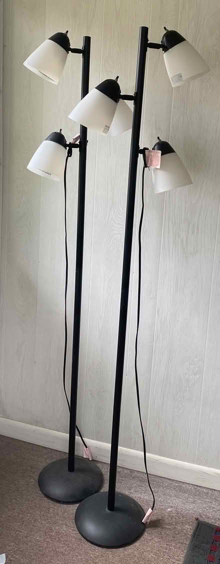 Photo of free 2 Floor lamps (Medford-Fulton Heights) #1