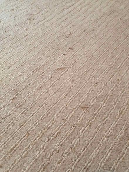Photo of free Wool rug used 230×160 cm (S2, Heeley) #2