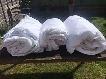 Photo of free 2 superking + 1 double duvet (Norton Fitzwarren TA2) #1