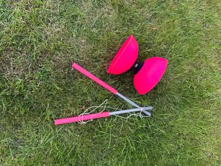 Photo of free Large Diablo (Farnborough BR6) #1