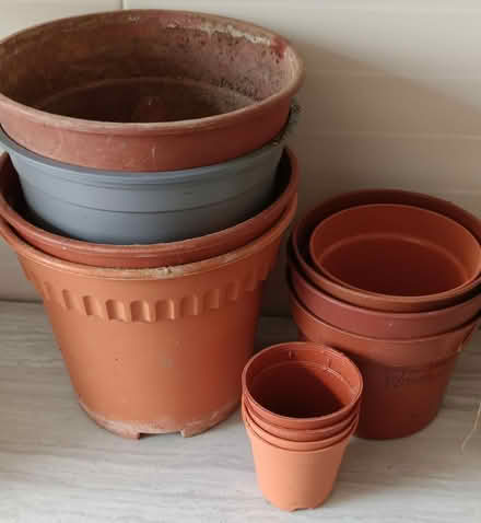 Photo of free Small flower pots (Serangoon) #1