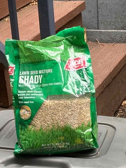 Photo of free Grass seed for shady spots (Canyon Village in Fairfax) #1