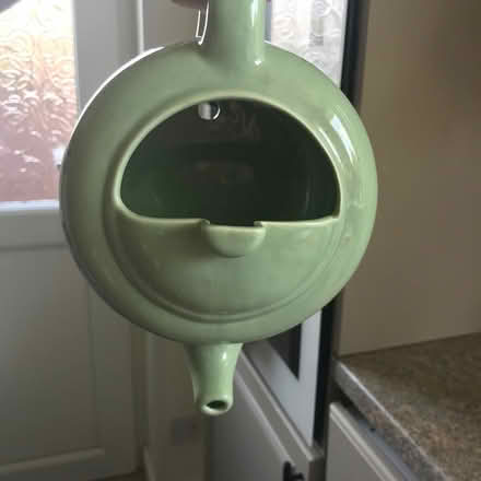 Photo of free Open nest teapot (Coup Green PR5) #2