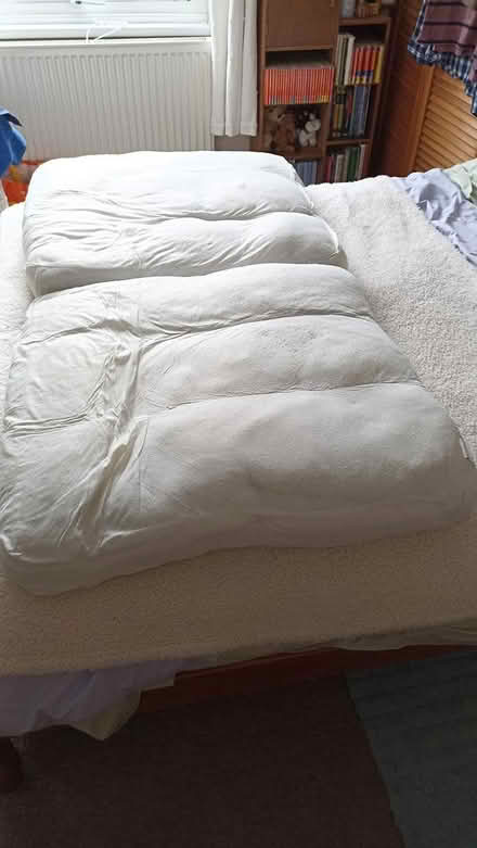 Photo of free sofa seat cushions (HR1 st james hereford) #2