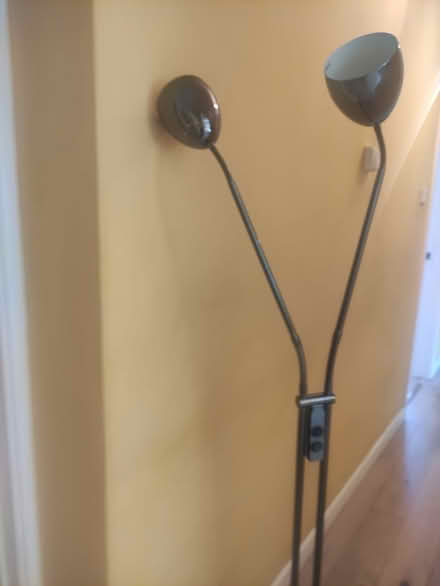Photo of free Floor lamp (Ovingdean BN2) #2