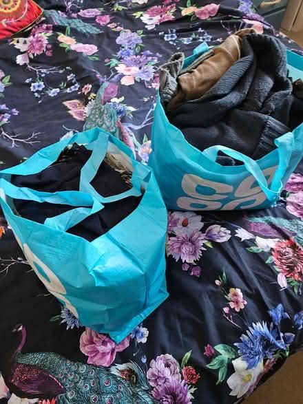 Photo of free 2 Bags of Ladies clothes 14-16 (Minehead) #1