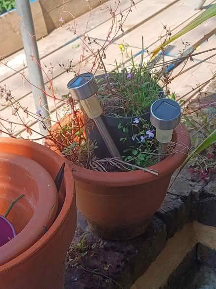 Photo of free Plant pots (Archway N19) #1