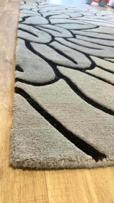 Photo of free Rug, diaper bin and baby bath (B25 8QS) #1