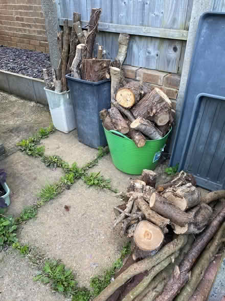 Photo of free Seasoned mixed wood (Weymouth DT4) #1