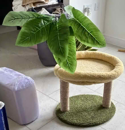 Photo of free Small cat bed (Stapleford NG9) #2