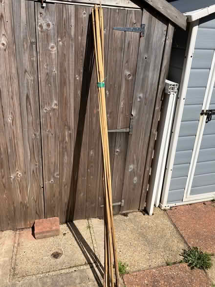 Photo of free 10 Bamboo canes 6ft long (Seaside BN23) #1
