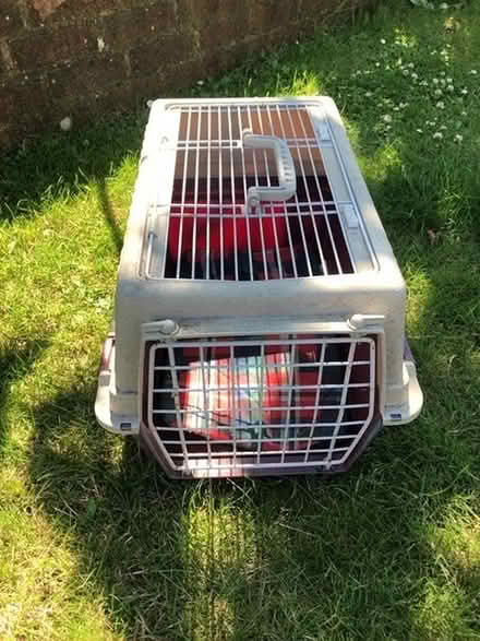 Photo of free Cat carry box (Hangleton BN3) #1
