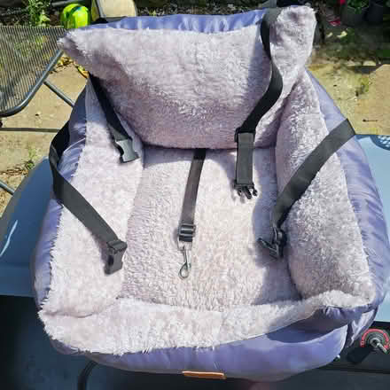 Photo of free Furdreams dog/puppy car seat (Woodseats S8) #3