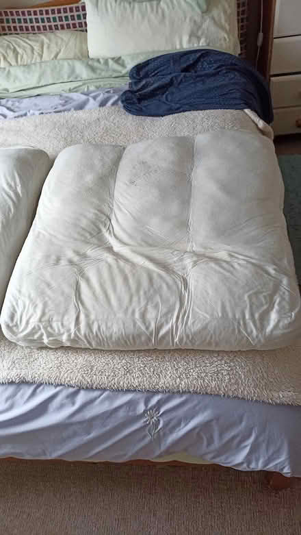 Photo of free sofa seat cushions (HR1 st james hereford) #1