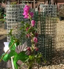 Photo of free Garden Netting (Upper Wolvercote OX2) #1