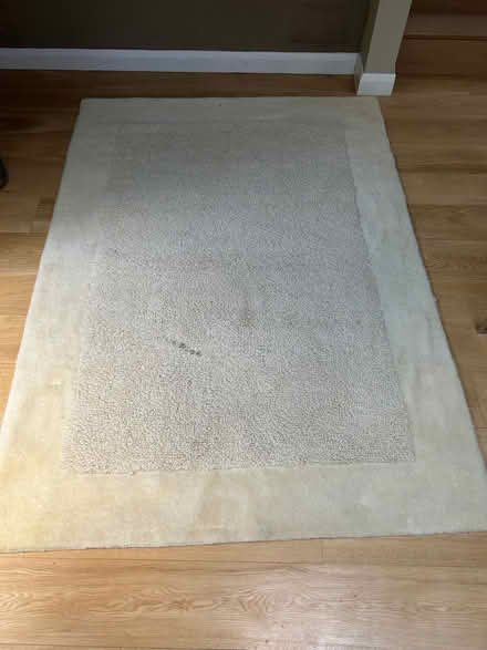 Photo of free Wool cream carpet with small stain (Dog Kennel SE5) #1