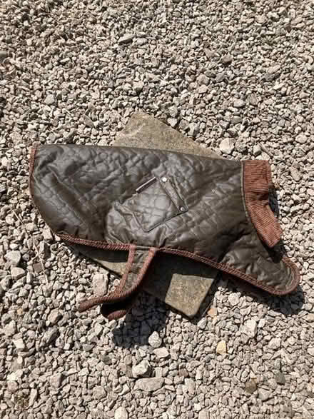 Photo of free Dog coat. For small dog (Warton LA5) #1