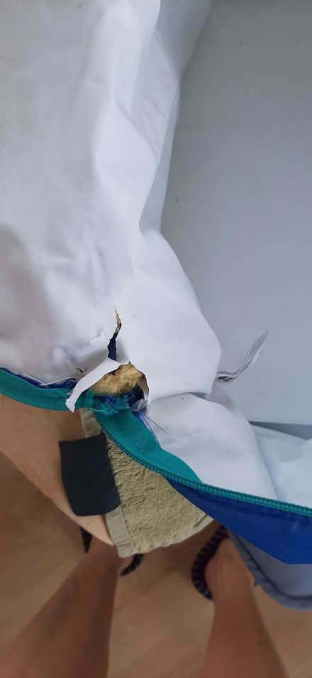 Photo of free Cool bag (Kendal LA9) #2